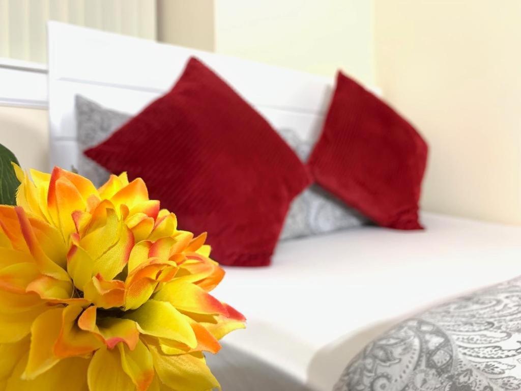 Edinburgh Ocean Inn Екстериор снимка